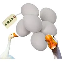 GarPet Nistkasten 6x Nesteier für Gänse