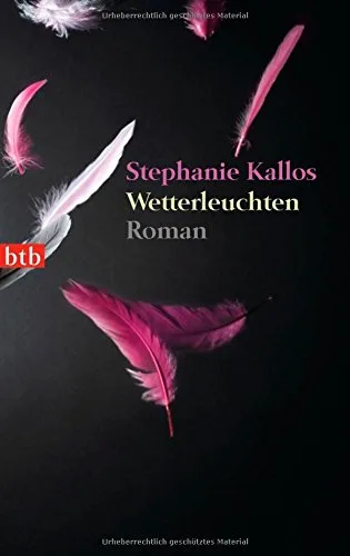 Wetterleuchten: Roman