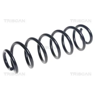 Triscan Feder hinten Skoda Octavia VW Golf 875029412