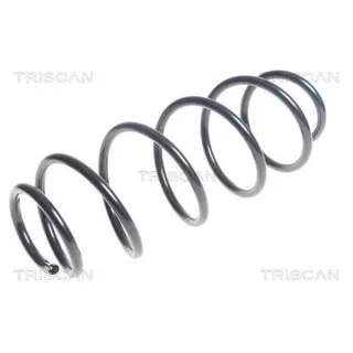 Triscan Feder vorne Citroen C4 875028236