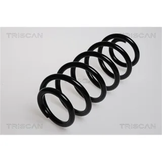 Triscan Feder vorne Audi A4 A6 Skoda Superb