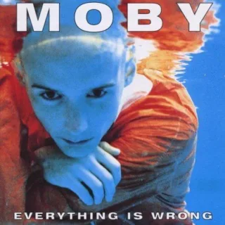Everything Is Wrong-Limitiert