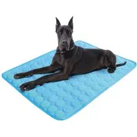 Ledander Hundematte Kühlmatte für Katzen und Hunde, für Drinnen, Draußen und Auto