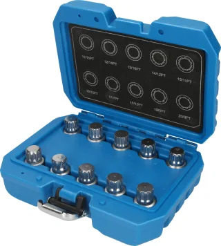 Brilliant Tools Felgenschloss-Sortiment für BMW, 10-tlg - BT691170