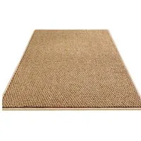 Agger Fußmatte Rutschfest Fußmatte Außen und Innen, Wasserdicht Eingangsteppich, 40*60cm, Waschbar Türmatte, Absorbierend Fussmatte für Hund, Eingang, Haustür