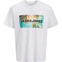 Jack & Jones PlusSize Rundhalsshirt JJINDIANA TEE SS CREW NECK PLS Baumwolle, regular fit
