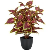 Kunstpflanze Buntnessel Coleus Kong red, Creativ green, Höhe 40 cm, mit Luftwurzeln