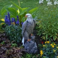 gartendekoparadies.de Gartenfigur Mächtiger Adler, Steinadler, Steinfigur, H. 50 cm, 14 kg (Mehrfarbig), Frostsicher