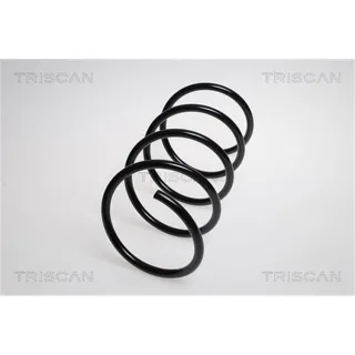 Triscan Feder vorne Mercedes C-Klasse Clc-Klasse 875023123