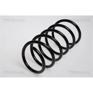 Triscan Feder vorne Renault Twingo 1 87502518