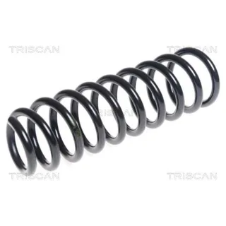 Triscan Feder hinten Hyundai Ix35 Kia Sportage 875043113