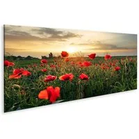 islandburner Leinwandbild Bild auf Leinwand Mohnblumen Feldblume Auf Sonnenuntergang Wandbild L