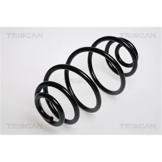 Triscan Feder hinten Opel Astra G 875024021