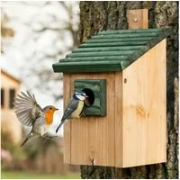 Zooprinz Nistkasten Vogelhaus für Wildvögel Wetterfest Vollholz Vogelhäusschen, Klappbare Front, Räuberschutz, Grün Pultdach