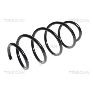 Triscan Feder vorne Mercedes C-Klasse W204 E-Klasse 875023140