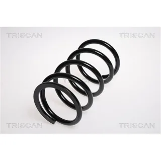 Triscan Feder hinten Toyota Rav 4 2 2,0 875013150