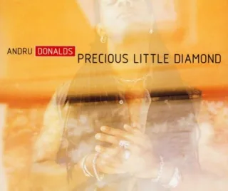 Precious Little Diamond