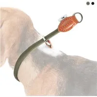 Freudentier Hunde-Halsband mit Zugstopp - Retriever Halsband, 4 verschiedene Größen für kleine, mittelgroße & große Hunde