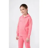 Champion Kapuzensweatshirt ICONS Hoodie aus Baumwolle und Polyester, sportlicher Stil, in den Größen S bis XXL
