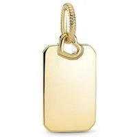 Pandora Charm-Einhänger SHINE-368611C00