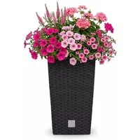 Prosperplast Blumentopf Rato Square, mit Einsatz, 32,5 x 32,5 x 61 cm, anthrazit, wetterfest & UV-beständig