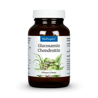 Glucosamin & Chondroitin