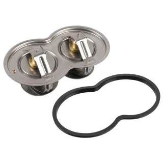 Febi Thermostat  10054