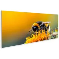 islandburner Leinwandbild Hummel Auf Blume Bei Sonnenschein Wandbild