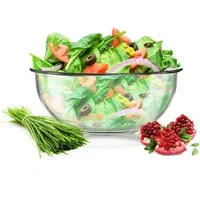 Sendez Schale Salatschale 3L Salatschüssel Servierschale Schüssel Hitzebeständig