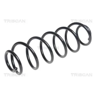 Triscan Feder hinten Peugeot 208