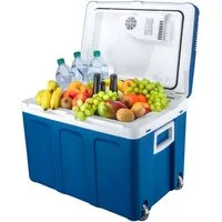 TZS FIRST AUSTRIA Elektrische Kühlbox Mobil Kühlschrank 45L, 12V /230V Anschluss, 12-V-Stecker fürs Auto, für Camping, Festivals, Reisen, Kühlen & Warmhalten