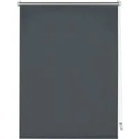 Seitenzugrollo Thermo Klemmrollo Energiesparend, GARDINIA, ohne Bohren, freihängend, Klemmfix, abdunkelnd mit Thermobeschichtung
