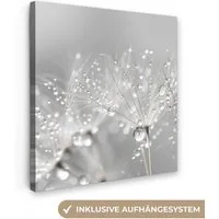 OneMillionCanvasses® Leinwandbild Löwenzahn - Wassertropfen - Stilleben - Modern, Fotodruck (1 St), Wandbild, Deko Schlafzimmer Wohnzimmer Flur 20x20 cm