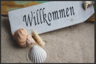 Fussmatte 4333 | Größe: 60 cm x 45 cm
