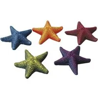 Europet-Bernina Aquariendeko Aquarium Dekoration Starfish