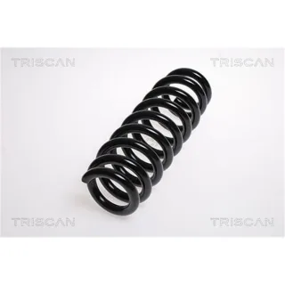 Triscan Feder hinten BMW 1er E87 3er E90 87501184