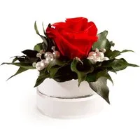 Kunstblume Infinity Rosenbox Diamonds and Pearls 1 infinity Rose Rose, ROSEMARIE SCHULZ Heidelberg, Höhe 10 cm, echte Blume die lange hält, Made in Germany