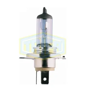 Auto-Lampe 24V H4