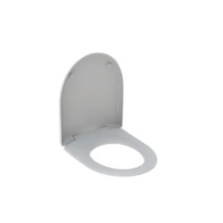 Geberit WC-Sitz Renova Nr.1 573025 manhattan 573025000