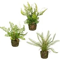 Künstliche Zimmerpflanze Set aus Farnpflanzen auf Wurzelballen Farn, Creativ green, Höhe 22 cm, 3er Set