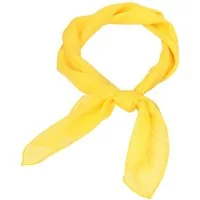 Zaewry Seidentuch Damen Nickituch Chiffon in einfarbig Uni - Leichtes zartes Halstuch, 65 x 65 cm
