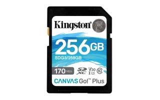 Kingston Canvas Go! Plus | sdg3/256gb | Flash-Speicherkarte