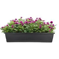 BigDean Blumenkasten Blumenkasten mit Untersetzer 80 cm Balkonkasten Pflanzkasten (Set, 1 St., Balkonpflanzkasten), Balkonpflanzkasten, Basic, Mit Untersetzer, Robust