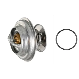 Hella Thermostat Mercedes Vario