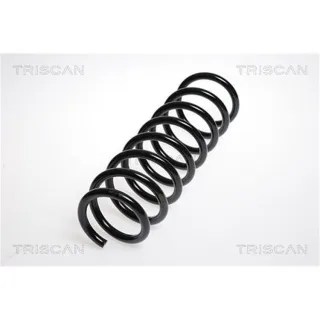 Triscan Feder hinten BMW 5er E60 875011133