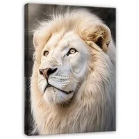 Wallarena Leinwandbild Leinwandbild Löwe Tiere Modern Beige – Schlafzimmer Wohnzimmer 70×100, 30 x 40 x 2