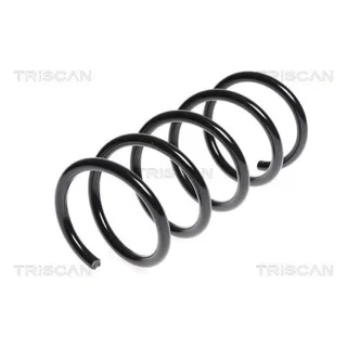 Triscan Feder hinten Abarth 500 Fiat 500