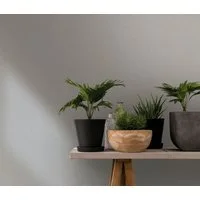 Marburg Vliestapete Simplicity Serenade, einfarbig, moderne Tapete für Wohnzimmer Schlafzimmer Küche