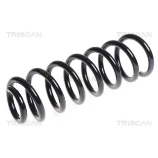 Triscan Feder hinten Citroen C5