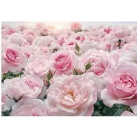Wallarena Fototapete Blumen Rosen - Mehrfarbig - Elegant - Vlies - Schlafzimmer, glatt, (8 St), 400x280cm